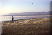 crop0015.jpg