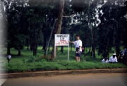 crop0051.jpg