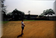 crop0052.jpg