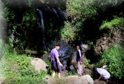 crop0060.jpg