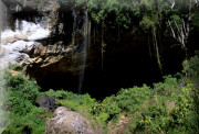 crop0061.jpg