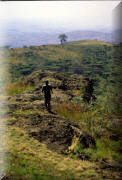 crop0066.jpg