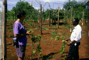 crop0079.jpg