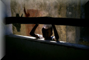 crop0086.jpg