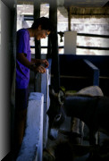 crop0088.jpg