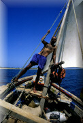 crop0092.jpg