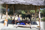 crop0096.jpg