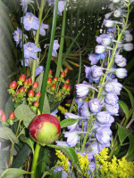 IMG_1767sm.jpg
